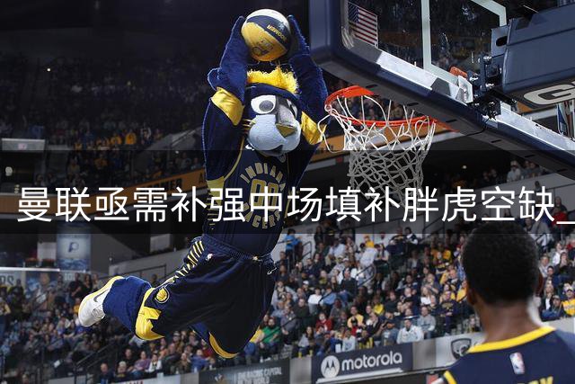 曼联亟需补强中场填补胖虎空缺 夏窗仅剩两周操作时间