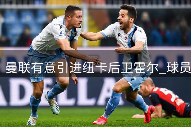 曼联有意引进纽卡后卫霍尔 球员渴望转会